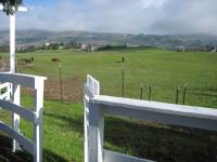 Highlight for album: Red Fox Farm Photos